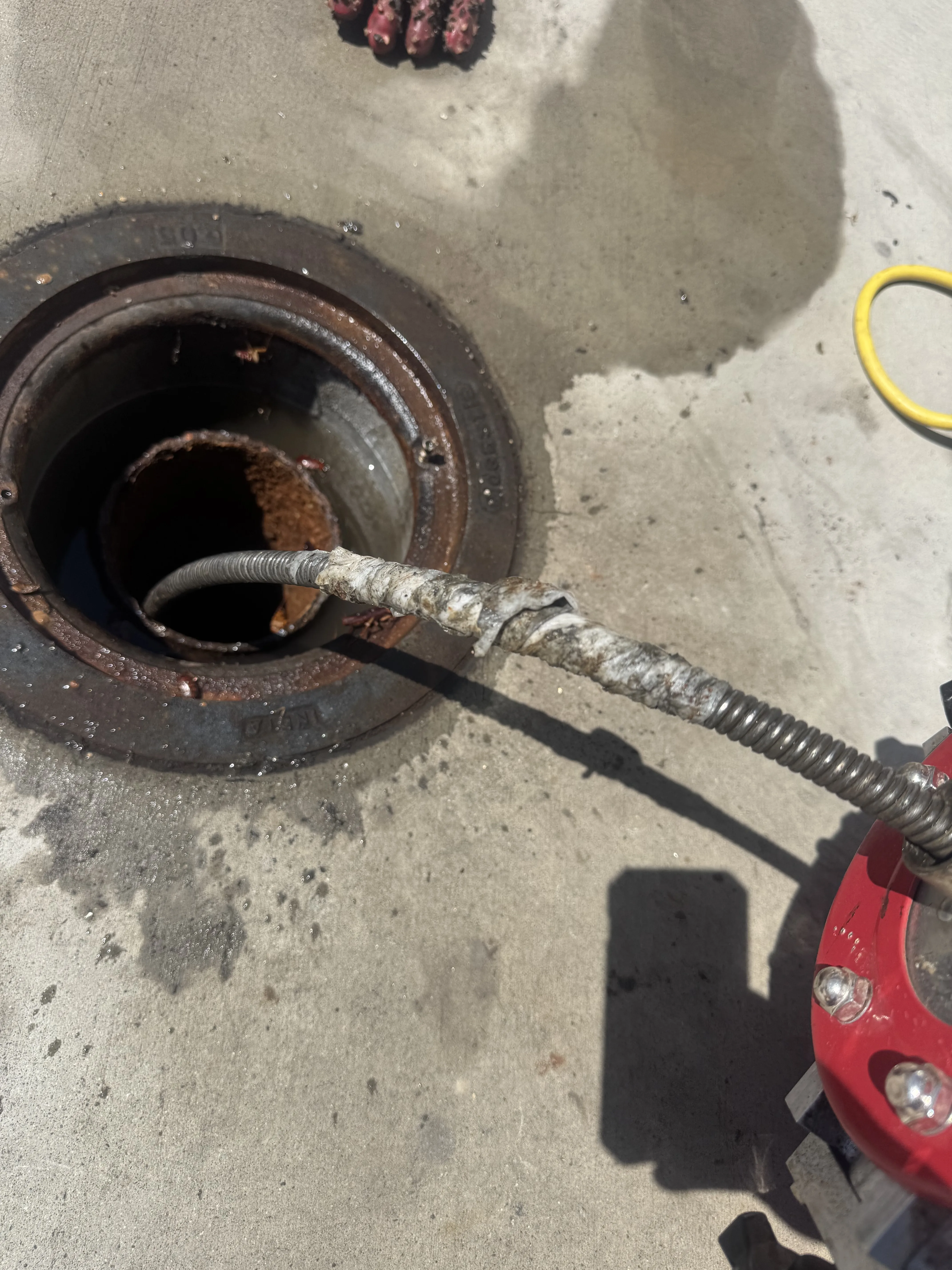 Drain snake cable feeding into commercial floor cleanout during active service