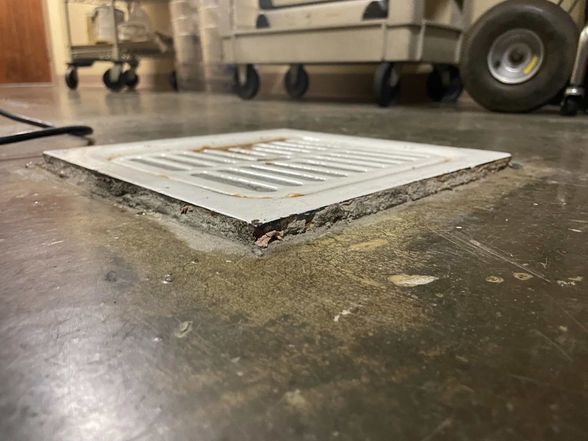 Commercial floor drain in kitchen facility